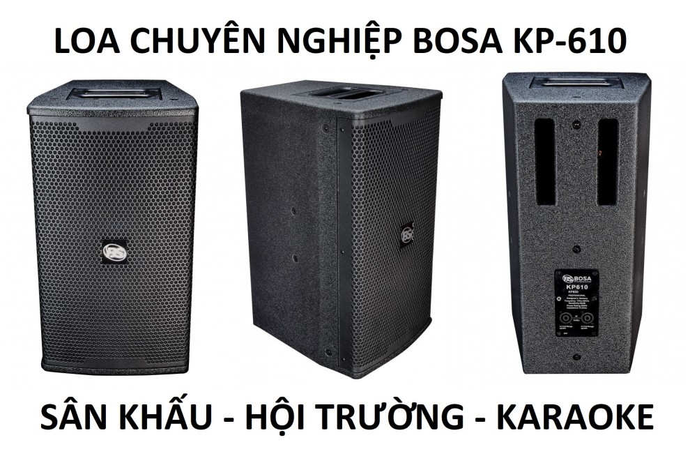 Loa BOSA KP-610 Bass 25 